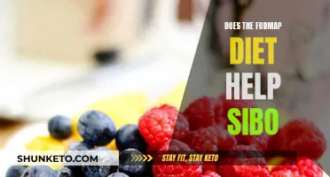 FODMAP Diet: Friend or Foe to SIBO?