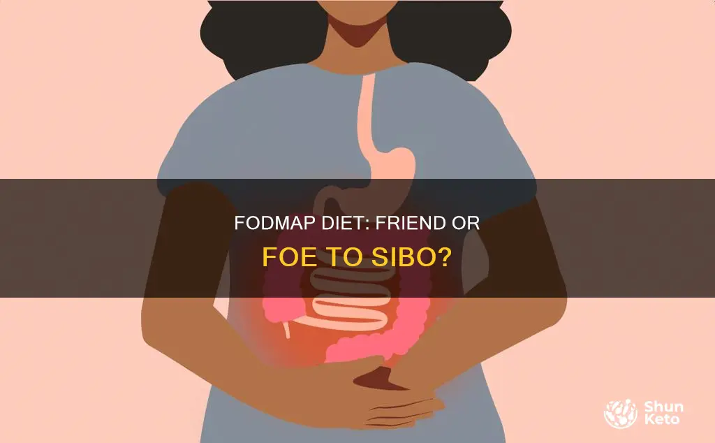 does the fodmap diet help sibo