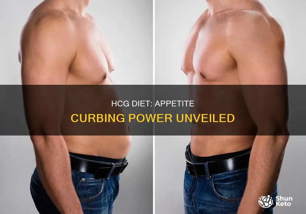 does the hcg diet curb your appetite