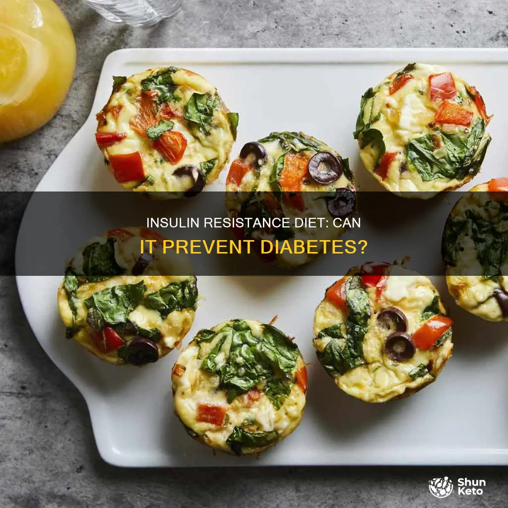does the insulin resistance diet really prevent diabetes