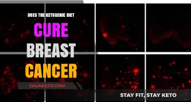 Ketogenic Diet: Breast Cancer Cure or Myth?