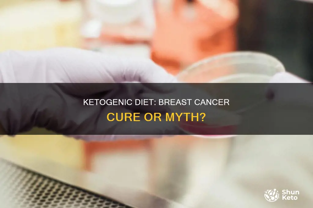 does the ketogenic diet cure breast cancer