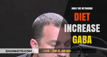 How Ketogenic Diet Influences GABA Levels
