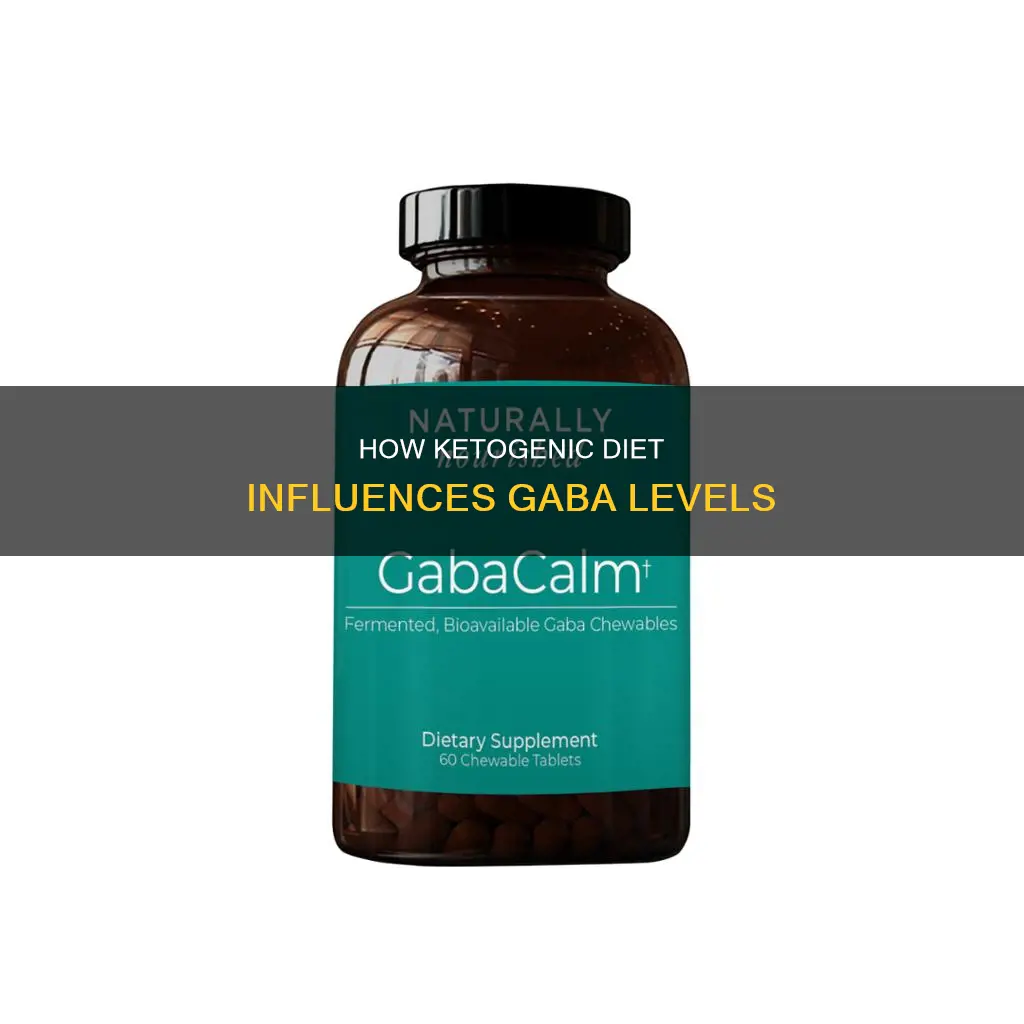 does the ketogenic diet increase gaba