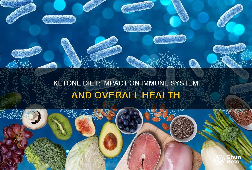 does the ketone diet effect your immune system
