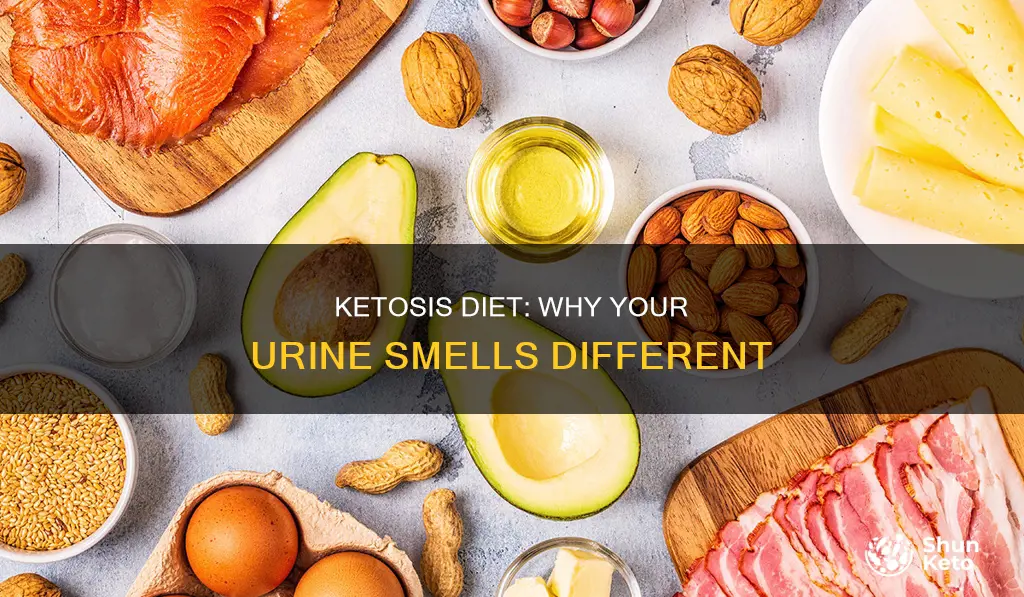does the ketosis diet make your urine smell