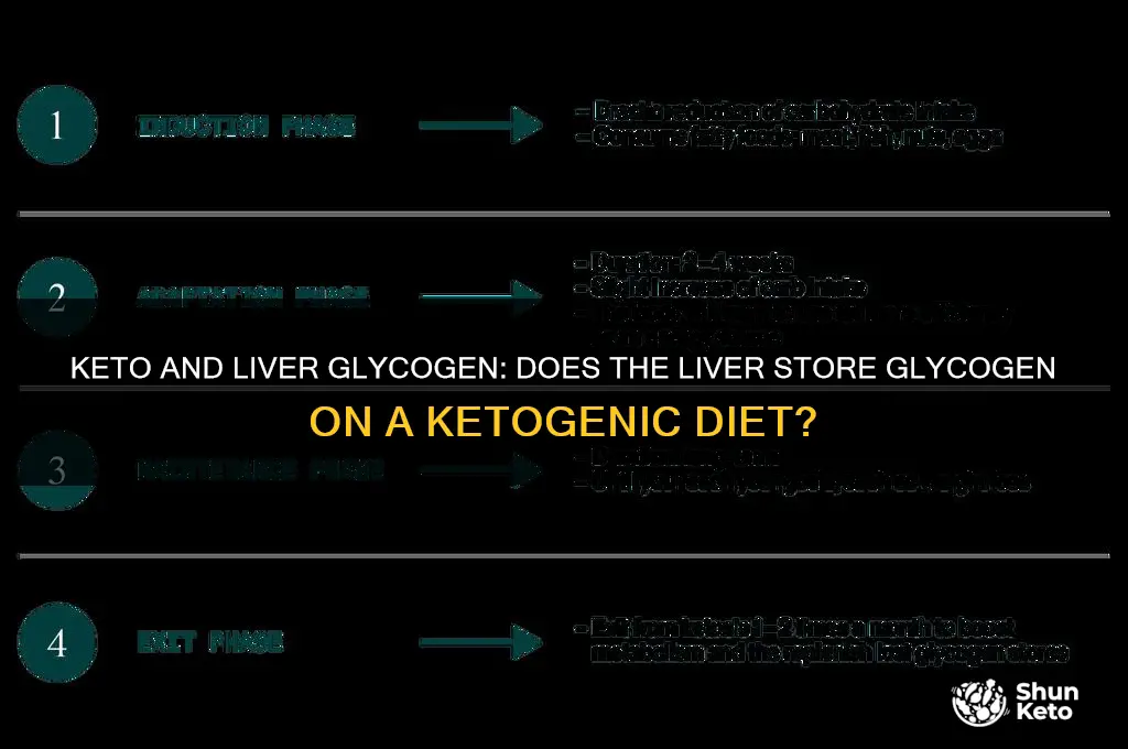 does the liver store glycogen when on keto