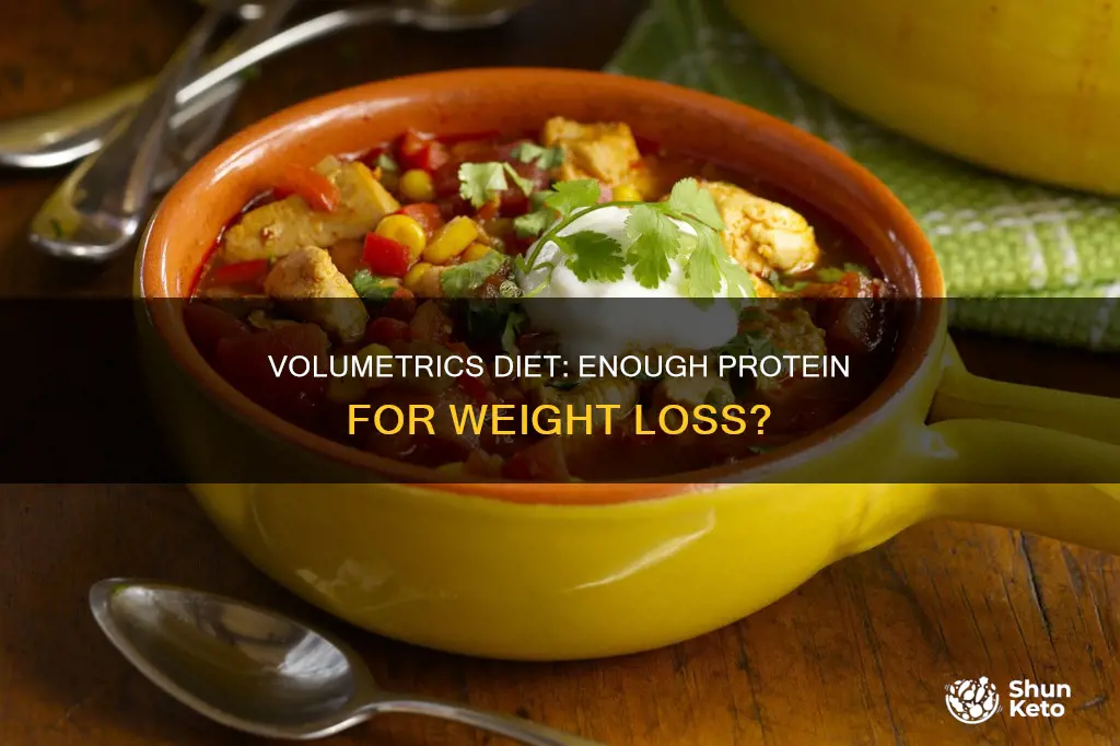 does the volumetrics diet give you enough protein