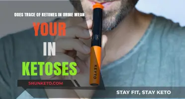 Ketones in Urine: Are You Truly in Ketosis? Explained