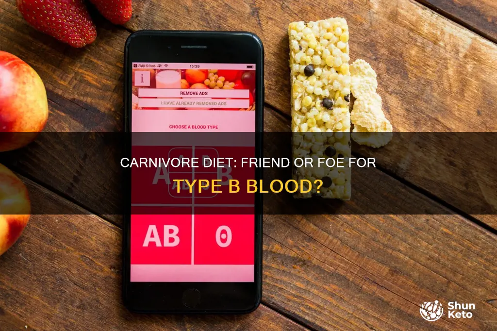 does type b blood do well with a carnivore diet