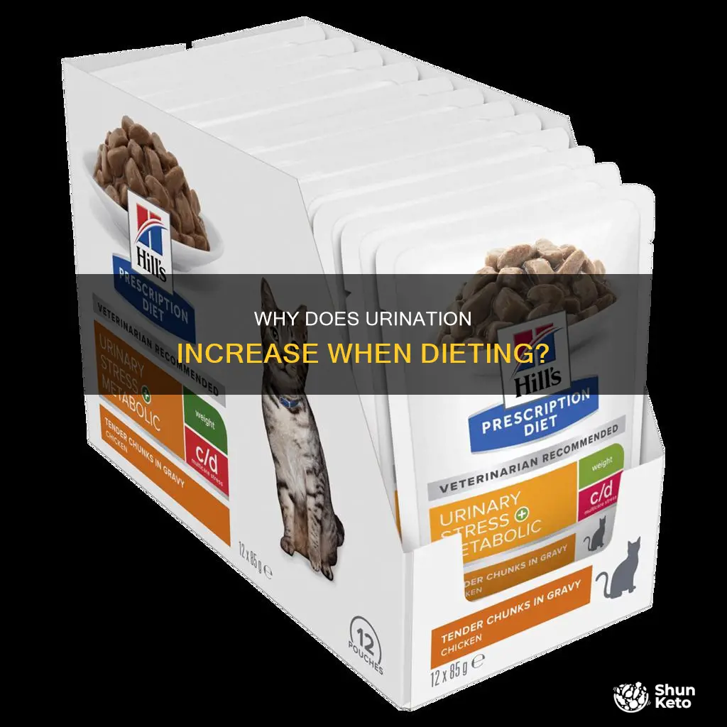does urination increase when dieting