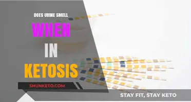 Ketosis and Urine Odor: Understanding the Smell During Fat Burning