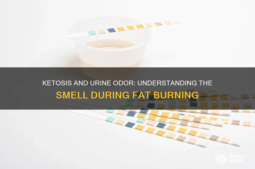 does urine smell when in ketosis
