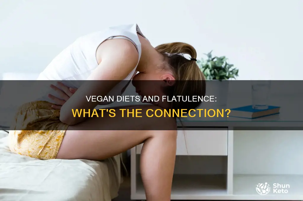 does vegan diet cause flatulence