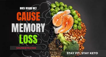 Vegan Diets: Memory Loss Side Effect or Myth?