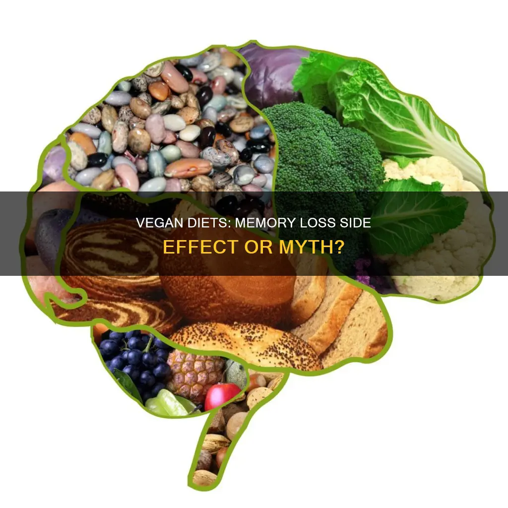 does vegan diet cause memory loss