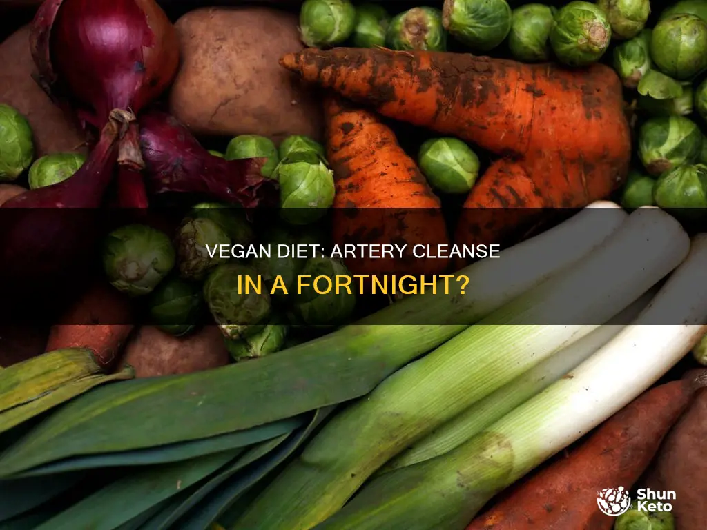 does vegan diet clear arteries in two weeks