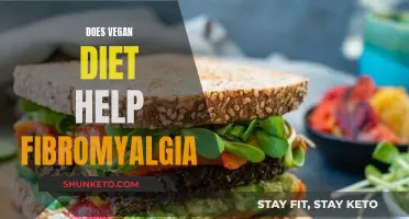 Vegan Diet: A Natural Remedy for Fibromyalgia?