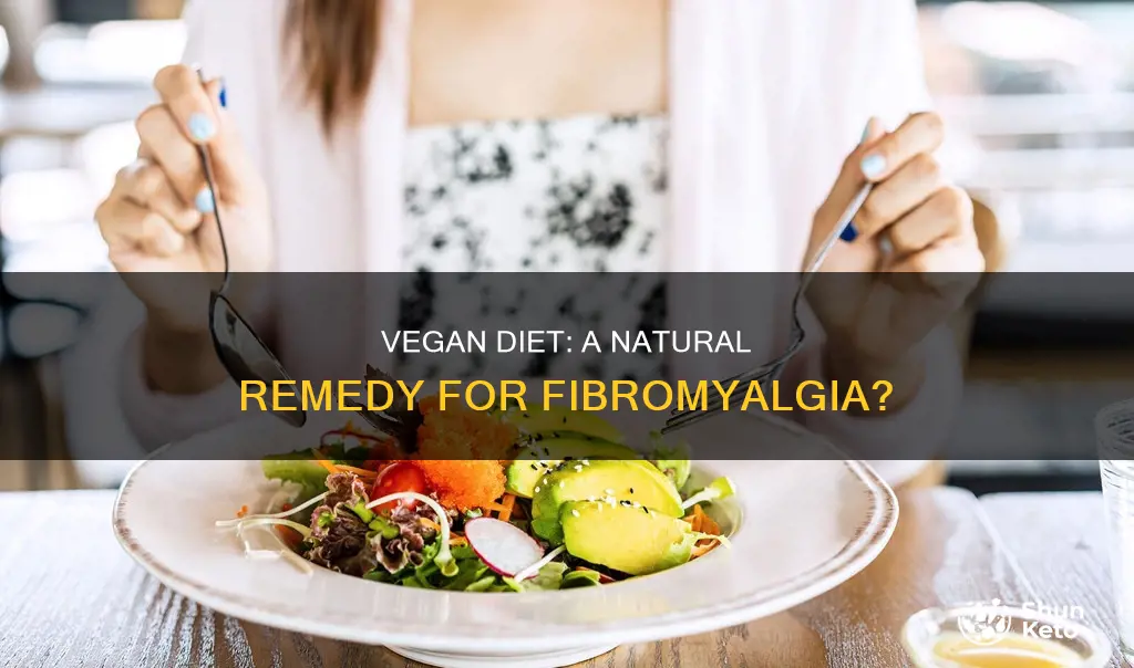 does vegan diet help fibromyalgia