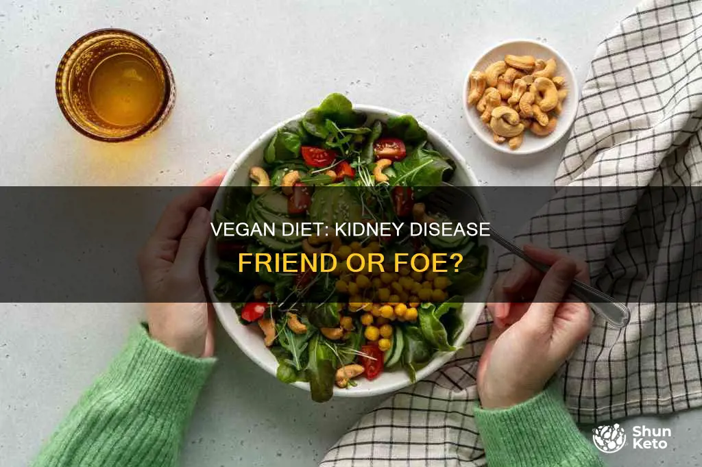 does vegan diet help kidney disease