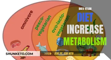 Vegan Diet: Metabolism Booster or Myth?