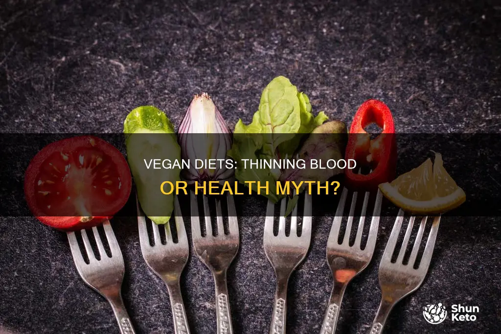 does vegan diet thin your blood