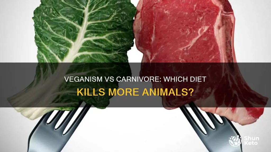 does veganism kill more animals than carnivore diet