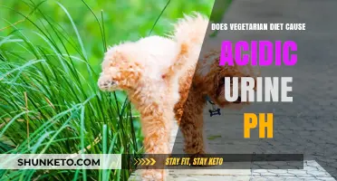 Vegetarian Diets: Acidic Urine pH?