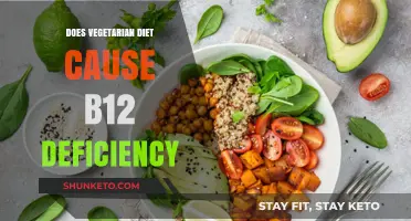 Vegetarian Diets: B12 Deficiency Risk?
