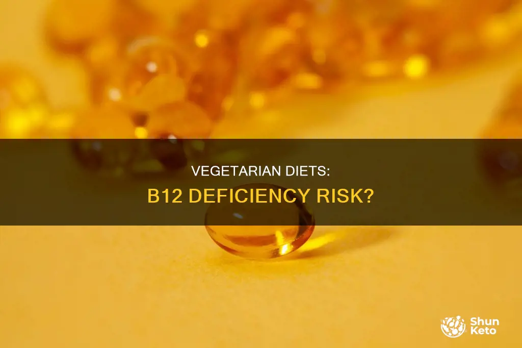 does vegetarian diet cause b12 deficiency