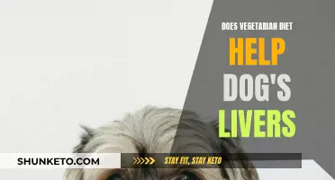 Vegetarian Diets: A Dog's Liver's Best Friend?