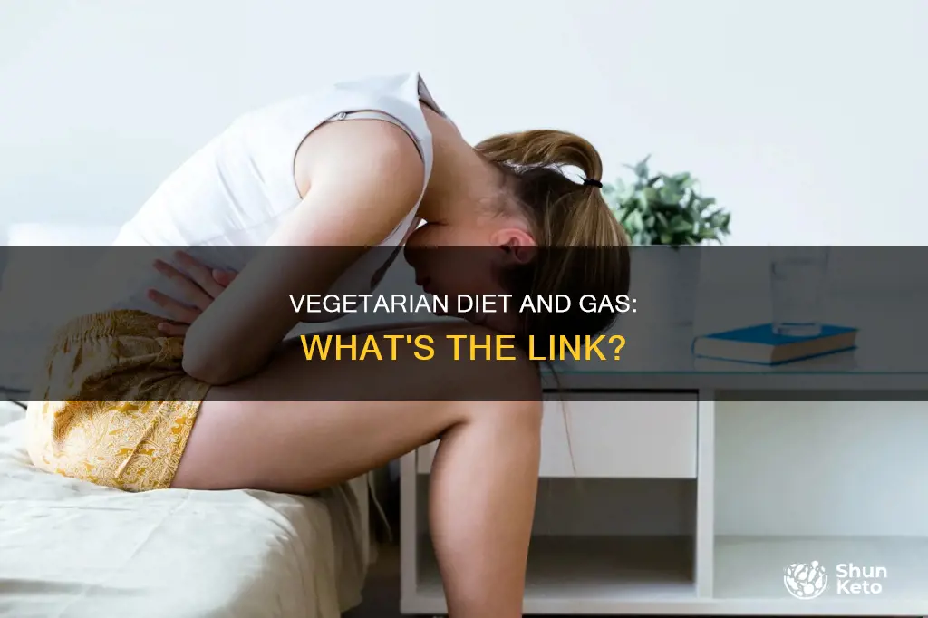 does vegetarian diet make you fart more
