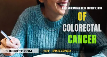 Vegetarian Diets: Lower Colorectal Cancer Risk?