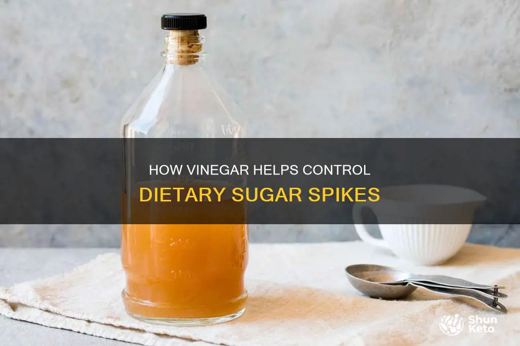 does vineagar help regulate sugar in the diet