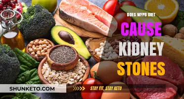 WFPB Diet: Kidney Stone Trigger or Preventer?