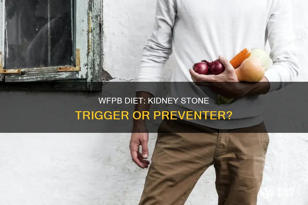 does wfpb diet cause kidney stones