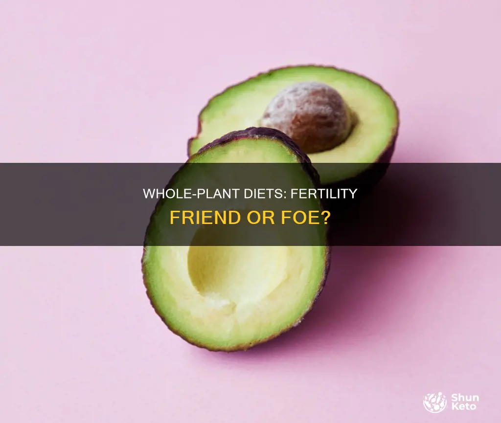 does wholplsnt based diet caused difficulty for vonceiving