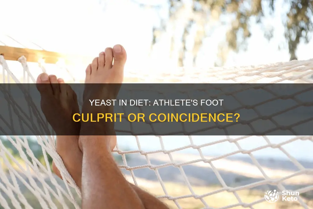 does yeast in diet cause athlete
