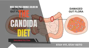 Candida Diet: Poo Color Changes and What They Mean