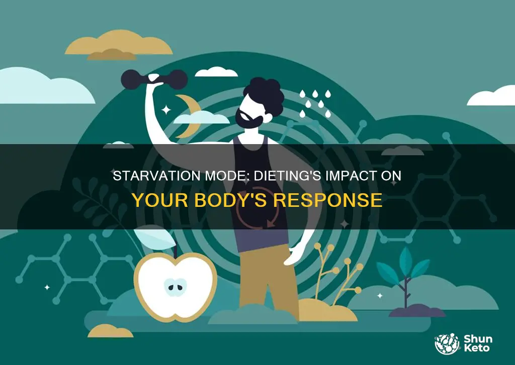 does your body go into starvation mode when dieting
