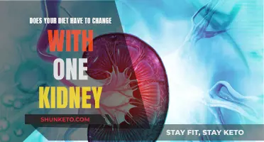 Adjusting Your Diet After Losing a Kidney
