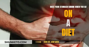 Stomach Shrinkage: Dieting and Appetite Suppression Explained