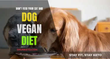 Vegan Pet Diets: A Dangerous Trend to Avoid