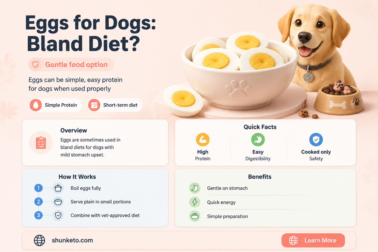 are eggs a bland diet for dogs