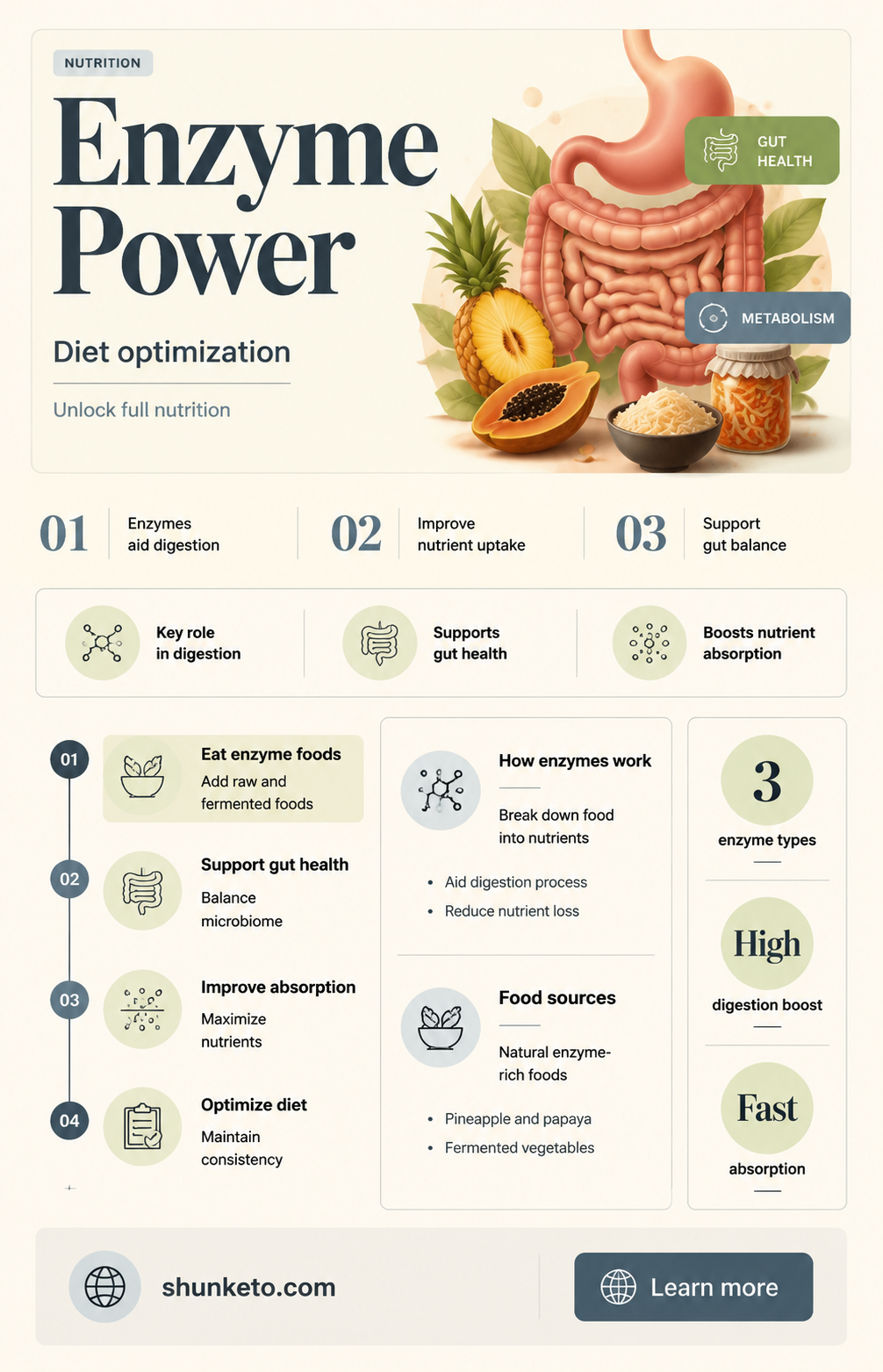 are enzymes important to a well balanced diet