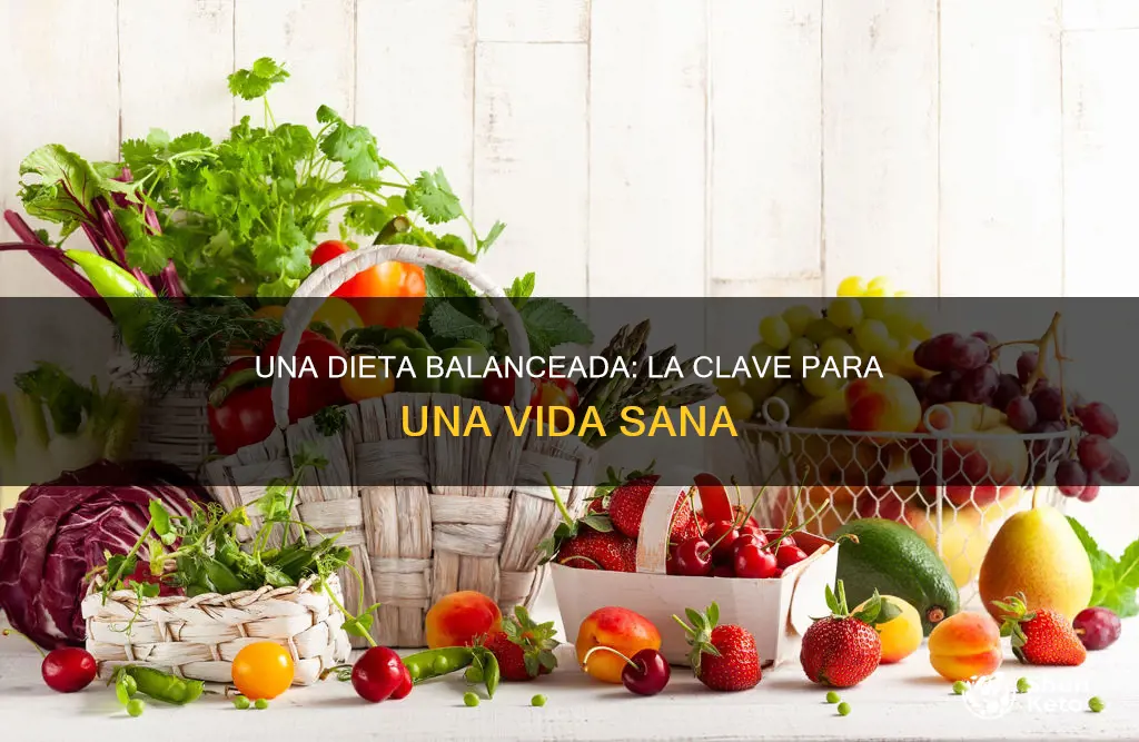 es una dieta balanceada