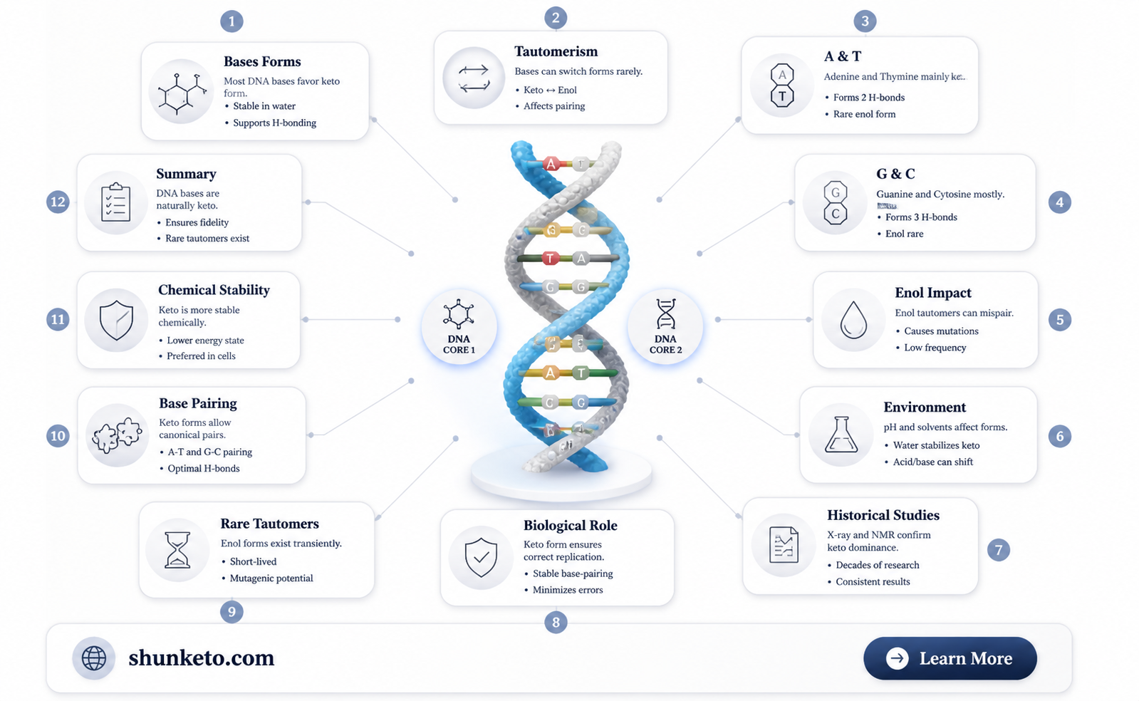 are bases in their keto form in dna