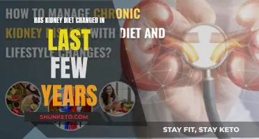 Kidney Diet Evolution: What Has Changed in Recent Years?