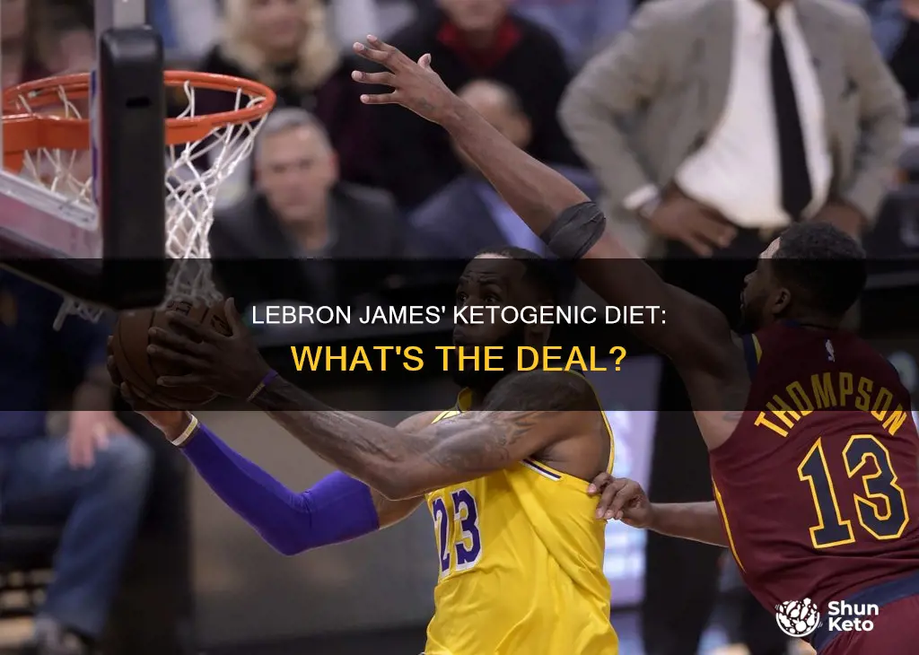 has lebron james gone ketogenic diet