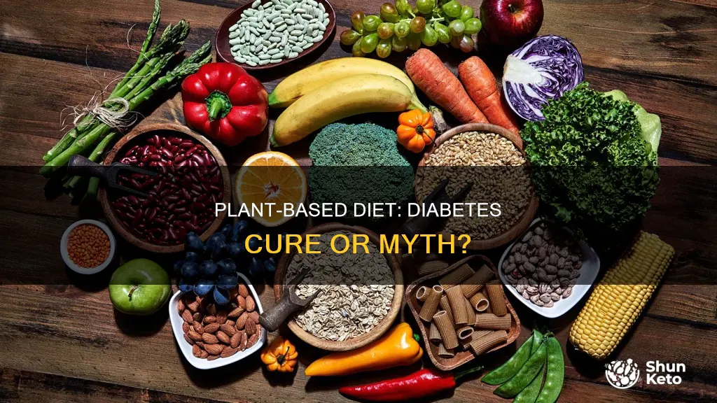 has plant based diet cure your diebetis